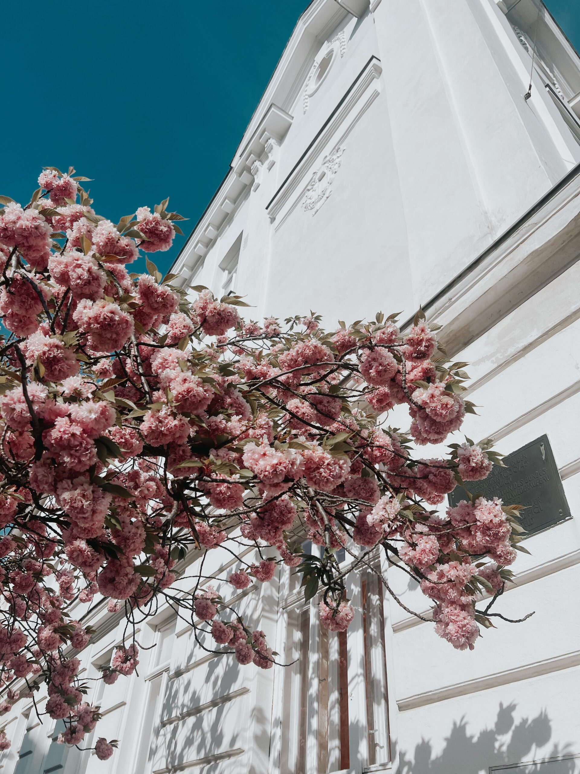 Spring in Vienna